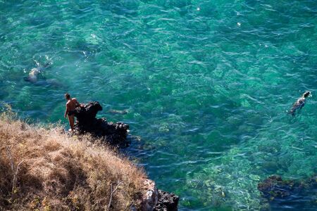GALAPAGOS, ECUADOR - JULY 19, 2010: Unidentified tourists enjoying the ocean with crystal clear water and swimming sea lions in San Cristobal, Galapagos Islandsのeditorial素材
