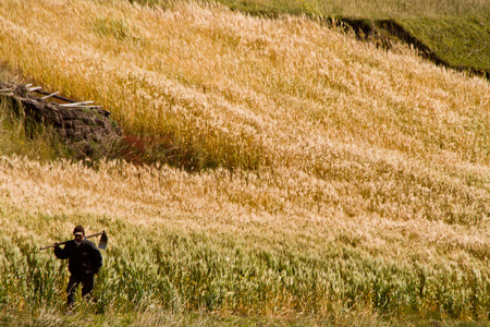 TUNGURAHUA, ECUADOR- JUNE 23, 2013: Unidentified indigenous farmer working in the andean highlands.のeditorial素材