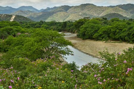 Beautiful green landscape of Machalilla National Park in Manabi, Ecuadorの写真素材