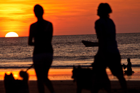 Silhouettes of young couple walking their dogs during sunset int he beach, Manabi, Ecuador. Selective focusの写真素材