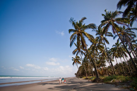 MANABI, ECUADOR - JANUARY 1, 2010: Unidentified tourists enjoying the beautiful natural landscape of Cojimies beach, Manabi, Ecuadorのeditorial素材