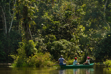 ORELLANA, ECUADOR - AUGUST 12, 2012: Unidentified tourists boarding paddling a canoe along the Napo river in the amazon rainforest, Yasuni National Park, Orellana, Ecuadorのeditorial素材
