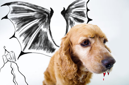Cute English Cocker Spaniel vampire puppy in front of a white background with bat wings and dracula castle sketch.の写真素材