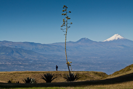 Amazing view of Cotopaxi volcano, Ecuador, South Americaの写真素材