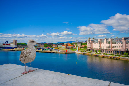 OSLO, NORWAY - 8 JULY, 2015: Excellent panoramic view over fjord of Oslo with beautiful blue colored...