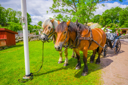 GOTHENBURG, SWEDEN - JUNE 19, 2015: Traditional horse carriage in Gunnebo House, beautiful and well preserved chateau built in the 18th centuryのeditorial素材