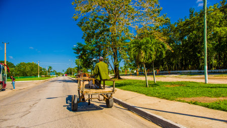 CENTRAL ROAD, CUBA - SEPTEMBER 06, 2015: Horse and a cart on a road in rural, Cuba.
