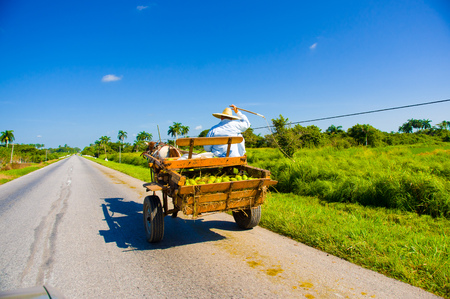 CENTRAL ROAD, CUBA - SEPTEMBER 06, 2015: Horse and a cart on a road in rural, Cuba.のeditorial素材