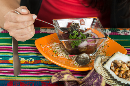 Close up shot of delicious typical ecuadorian seafood plate, cebicheの写真素材