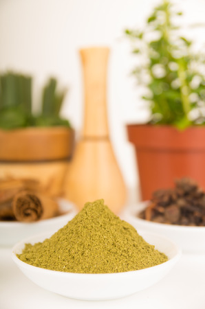 Beautiful delicate colorful display of different spices red orange brown in white bowls, shot from above side angle, plants and bright background.の写真素材