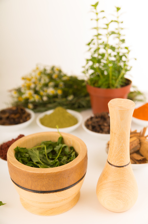 Wooden spice grinder with green herbs inside on white surface sorrounded by spices and plants.の写真素材