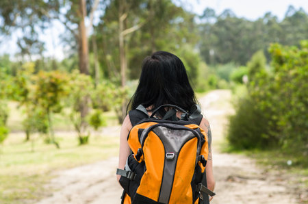 Adventurous brunette in hiking environment, walking away from camera looking back, forest...