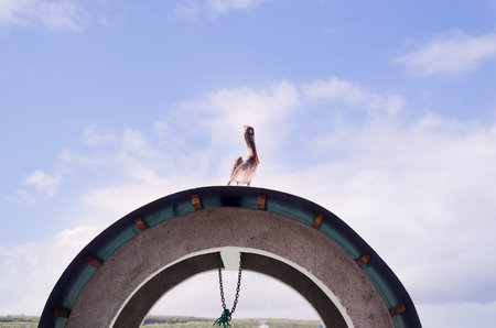 Bird sitting on top of artistic wheel installation with nice blue sky background.の写真素材