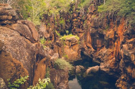 Awesome natural cliffs, beautiful small water ponds between sorrounded by rocky terrain with green vegetation, Galapagos Ecuador.の写真素材