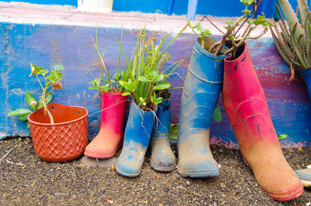 Flower growing out of pot next to rubber boots with plants sticking out, standing on cement surface,...