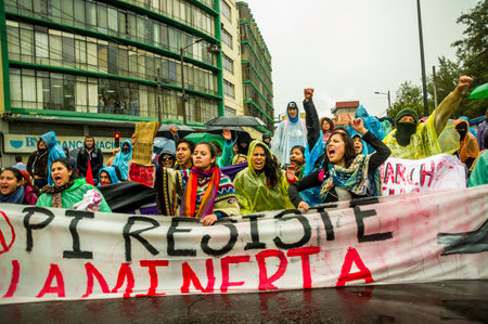 Quito, Ecuador - August 27, 2015: Group of angry mixed young people holding up banner and protesting...