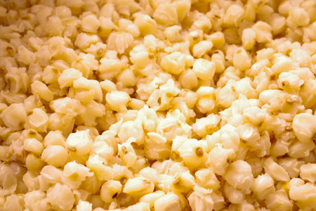 Delicious and cooked white maiz, close up of grains, gold and white