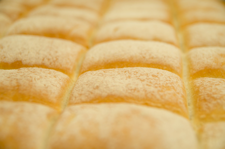 Closeup freshly baked square ciabattas lined up on baking tray.の写真素材
