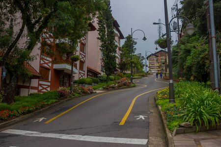 GRAMADO, BRAZIL - MAY 06, 2016: nice irregular street with a lot of plants and trees in the sidewalks.のeditorial素材
