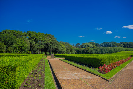 CURITIBA ,BRAZIL - MAY 12, 2016: nice view from the french style gardens with geometrical shapes.のeditorial素材
