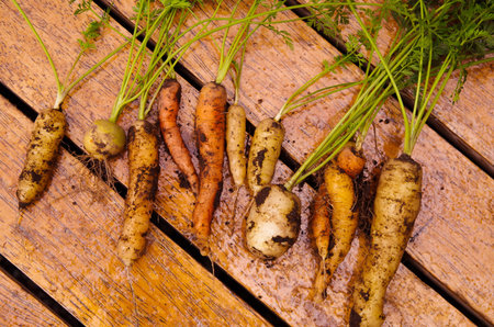 Dozen freshly harvested organic carrots lined up on wooden surface, healthy lifestyle concept.