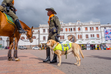 PASTO, COLOMBIA - JULY 3, 2016: unidentified policeman standing on the central square with a policedog.のeditorial素材