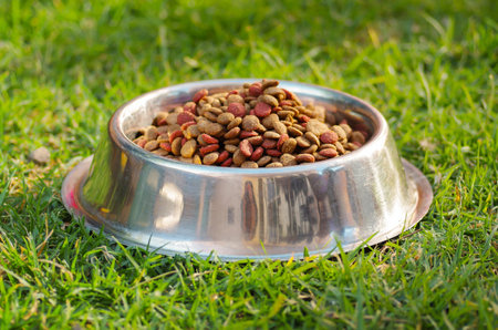 Closeup metal bowl with fresh dog food sitting on green grass, animal nutrition concept.