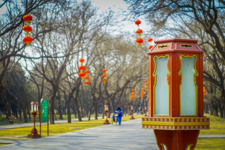 Walking around temple of heaven compund garden, an imperial complex with various religious buildings...