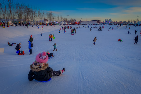 Harbin, China - February 9, 2017: Harbin International Ice and Snow Sculpture Festival is an annual winter festival that takes place in Harbin. It is the world largest ice and snow festival.のeditorial素材