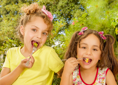Two beautiful young girls, eating a healthy strawberry and grapes using a fork, in a garden backgroundの写真素材