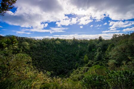 View to Rangitoto Island from North Head in a sunny day with a beautiful blue sky in a green forestの写真素材