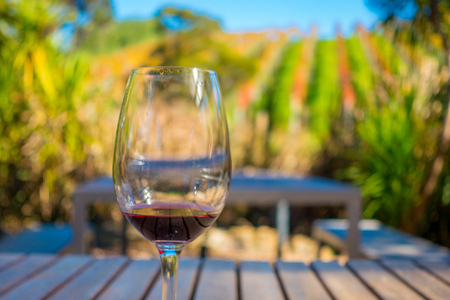 Cup of red wine on vineyard background in waiheke island in auckland, in a beautiful blue sky in summer timeの写真素材