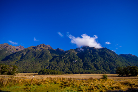 Beautiful landscape of high mountain glacier at milford sound, in south island in New Zealandの写真素材