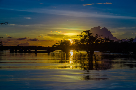 Trees silhouetted against an orange sky at sunset over Laguna Grande in the Cuyabeno Wildlife Reserve National Park, in Ecuadorの写真素材
