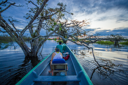 People enjoying the sunset from the river in Cuyabeno National Park, Ecuadorの写真素材