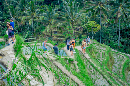 BALI, INDONESIA - APRIL 05, 2017: Unidentified people enjoying the beautiful landscape with green rice terraces near Tegallalang village, Ubud, Bali, Indonesiaのeditorial素材