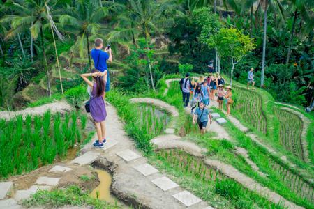 BALI, INDONESIA - APRIL 05, 2017: Unidentified people enjoying the beautiful landscape with green rice terraces near Tegallalang village, Ubud, Bali, Indonesiaのeditorial素材