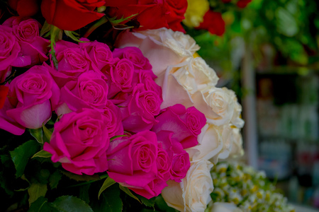 QUITO, ECUADOR - NOVEMBER 23, 2016: A bunch of white and yellow flowers in a market at the municipal market located in San Francisco in Quito cityのeditorial素材