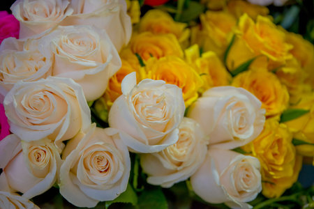 QUITO, ECUADOR - NOVEMBER 23, 2016: A bunch of white and yellow flowers in a market at the municipal market located in San Francisco in Quito cityのeditorial素材