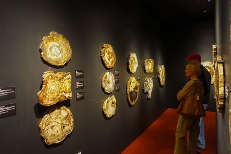 HOUSTON, USA - JANUARY 12, 2017: Unidentified people watching a fosilized wood exposition in National Museum of Natural Science in Orlando Houston in USAのeditorial素材
