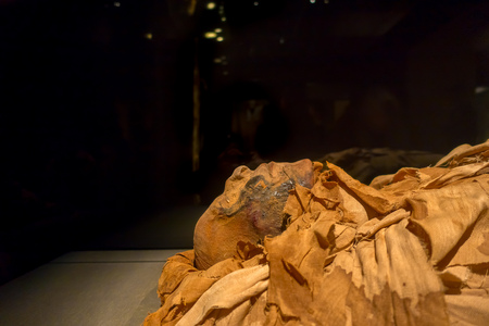 HOUSTON, USA - JANUARY 12, 2017: Amazing mummies wrapped with some rags of the Ancient Egypt in National Museum of Natural Science in Orlando Houston in USA, in a black backgroundのeditorial素材