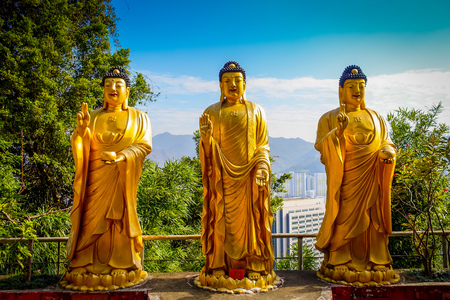 Impressive golden statues at Ten Thousand Buddhas Monastery in Sha Tin, Hong Kong, China.の写真素材