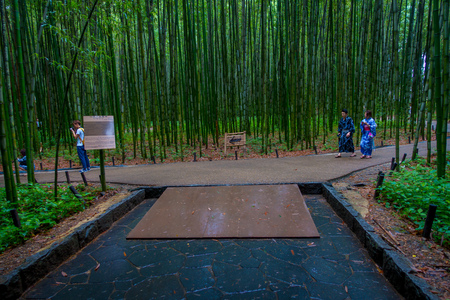 KYOTO, JAPAN - JULY 05, 2017: Unidentified people walking in a path at beatiful bamboo forest at Arashiyama, Kyoto, Japanのeditorial素材