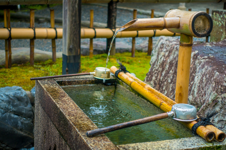 KYOTO, JAPAN - JULY 05, 2017: Gorgeous small pond at Tenryu-ji Temple, in Kyotoのeditorial素材