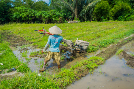 BALI, INDONESIA - APRIL 05, 2017: Farmer cleanning the area to plant some rice seeds in a flooded land in terraces, Ubud, Bali, Indonesiaのeditorial素材