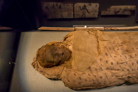 HOUSTON, USA - JANUARY 12, 2017: Close up of an amazing mummy wrapped with some rags of the Ancient Egypt in National Museum of Natural Science in Orlando Houston in USAのeditorial素材