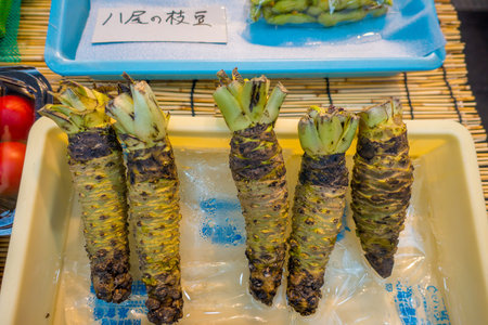 OSAKA, JAPAN - JULY 18, 2017: Fresh wasabi root are sold along the street at Kuromon Ichiba market, Nipponbashi, Osaka, Japanのeditorial素材