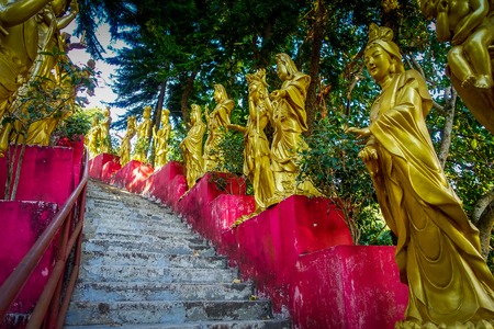 Statues in a row at Ten Thousand Buddhas Monastery in Sha Tin, Hong Kong, Chinaの写真素材