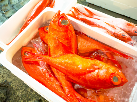 TOKYO, JAPAN JUNE 28 - 2017: Fish for sale inside of white boxes with water at the Fish Market Tsukiji wholesale in Tokyo Japan, Tsukiji Market is the biggest wholesale fish and seafood market in the worldのeditorial素材