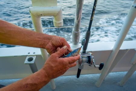 FORT LAUDERDALE, USA - JULY 11, 2017: A man handle a fish hood with a small fish, in a summer day of vacations at Fort Lauderdale, Floridaのeditorial素材